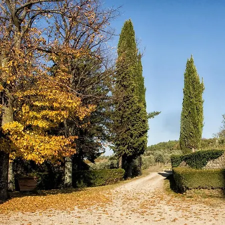 Belvedere