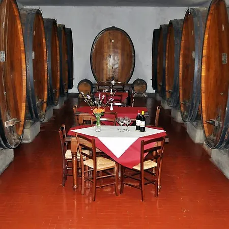Belvedere *